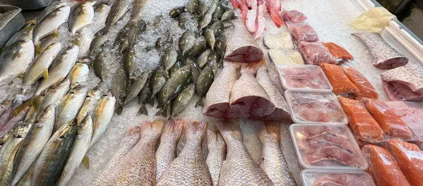 Whole fish, fillets and salmon on ice at the Tansofresh stall